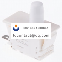E69 00A ZF Interlock Switch  Single