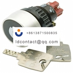 14 135 025K2 EAO 2 position key swi