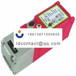 222003 IDEM safety gate switch key 